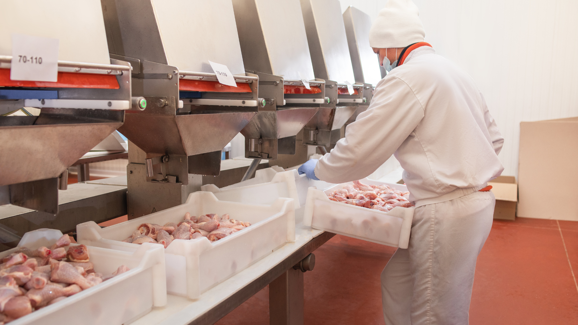 PEI Agyle Intelligence Automation Software Client Eden Valley Poultry